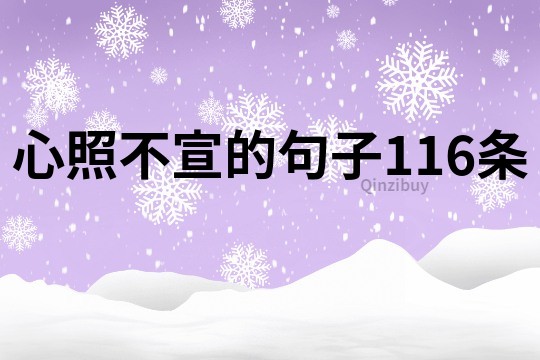 心照不宣的句子116條