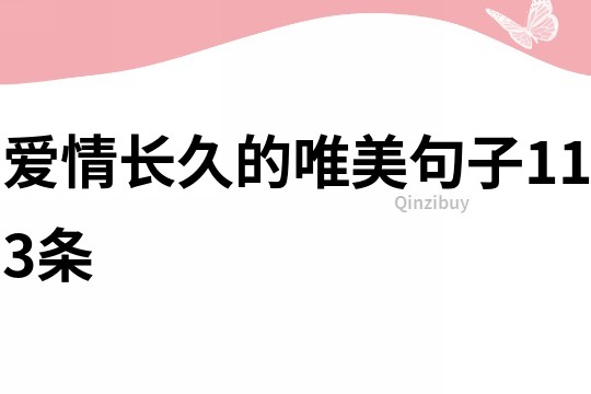 愛情長久的唯美句子113條