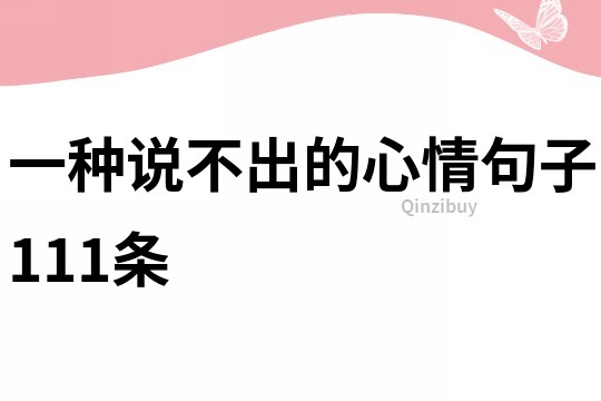 一種說不出的心情句子111條