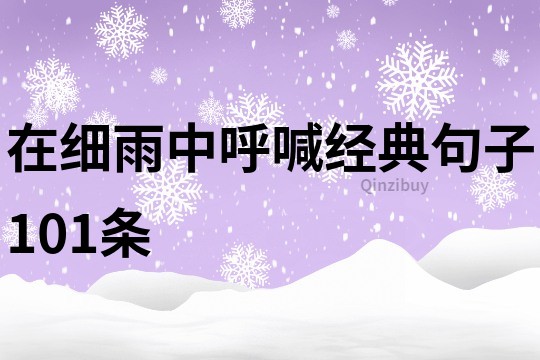 在細雨中呼喊經典句子101條