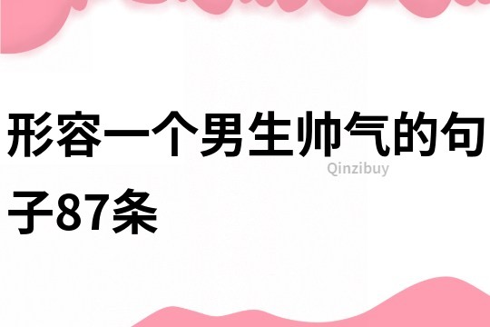 形容一個男生帥氣的句子87條