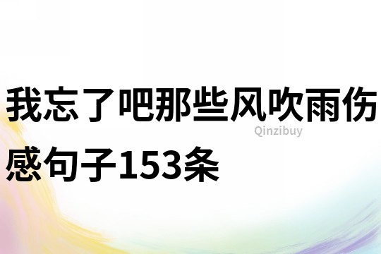 我忘了吧那些風(fēng)吹雨傷感句子153條