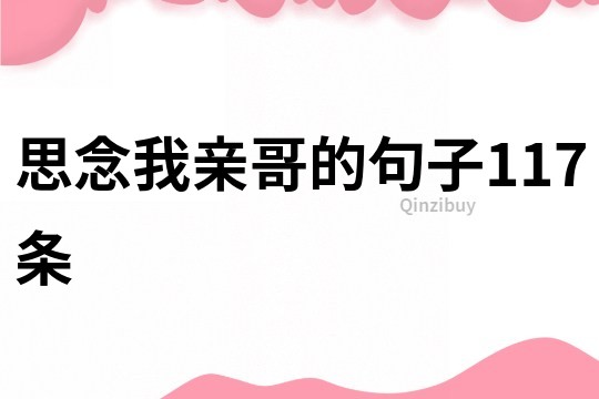 思念我親哥的句子117條