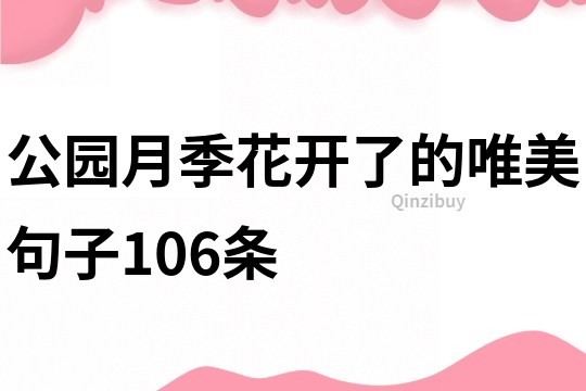 公園月季花開了的唯美句子106條