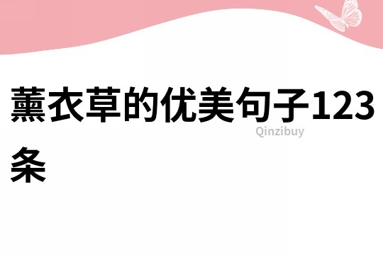 薰衣草的優美句子123條