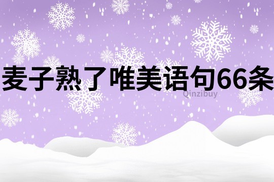 麥子熟了唯美語句66條