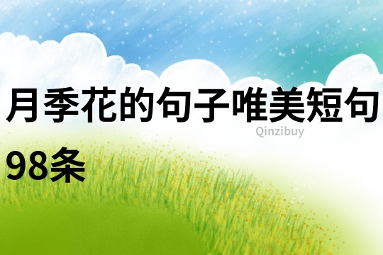 月季花的句子唯美短句98條