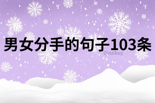男女分手的句子103條