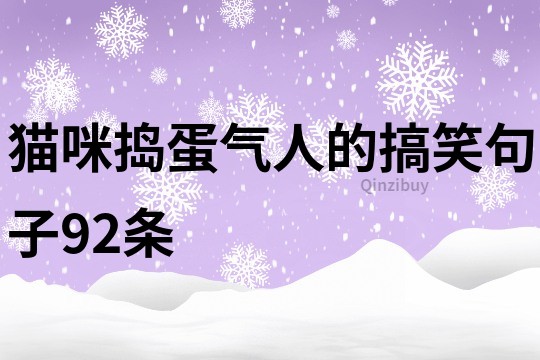貓咪搗蛋氣人的搞笑句子92條