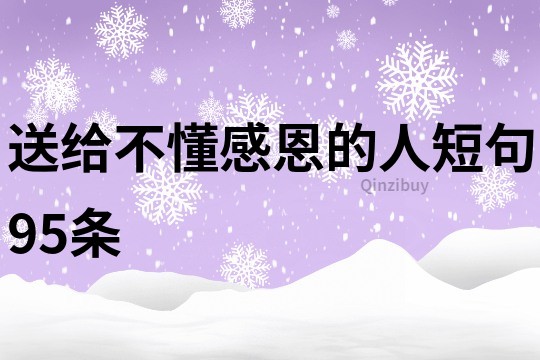 送給不懂感恩的人短句95條