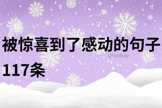 被驚喜到了感動的句子117條