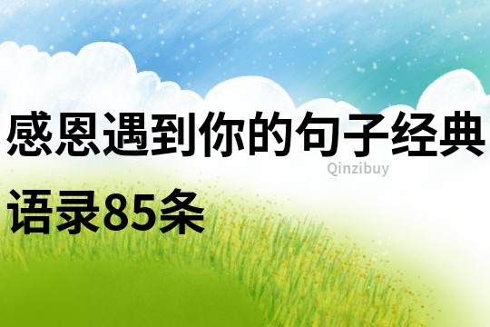 感恩遇到你的句子經(jīng)典語錄85條