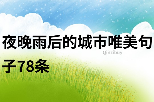 夜晚雨后的城市唯美句子78條