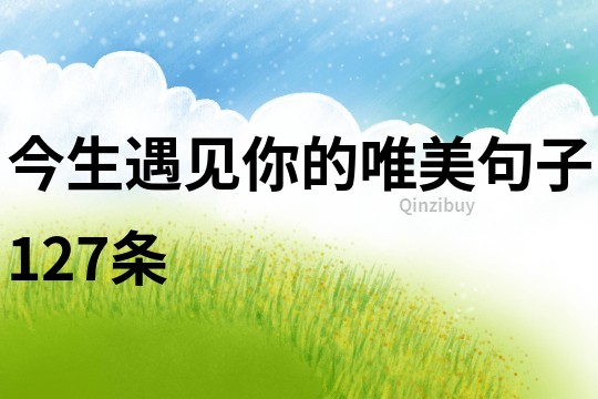 今生遇見你的唯美句子127條