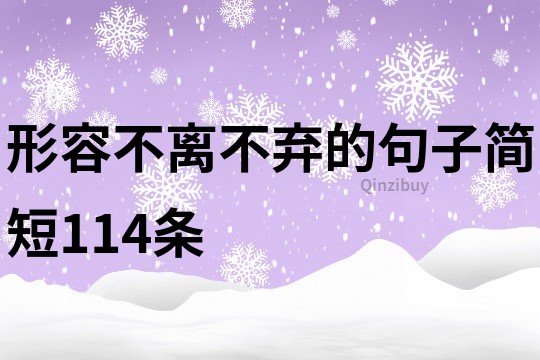 形容不離不棄的句子簡短114條