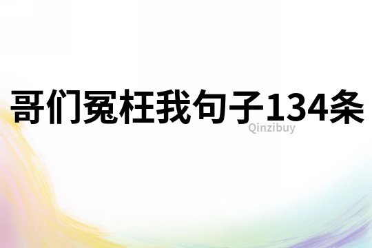 哥們冤枉我句子134條