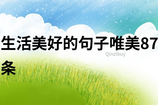 生活美好的句子唯美87條