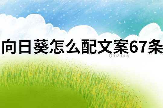 向日葵怎么配文案67條