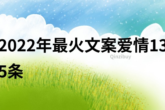 2022年最火文案愛情135條