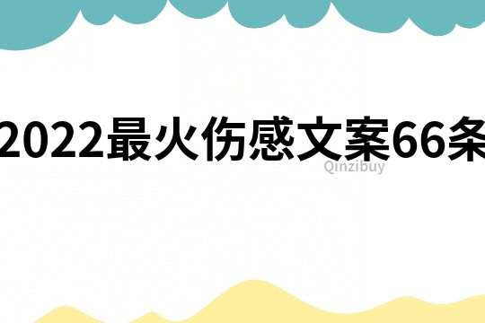 2022最火傷感文案66條