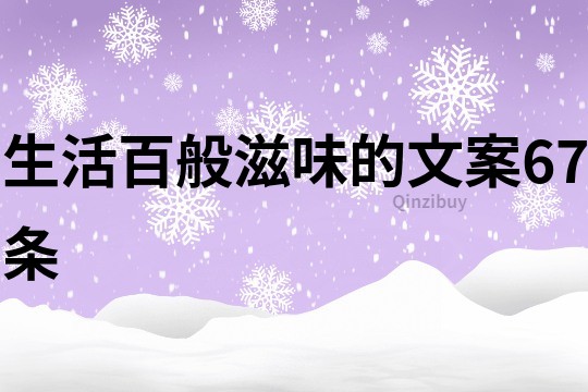 生活百般滋味的文案67條