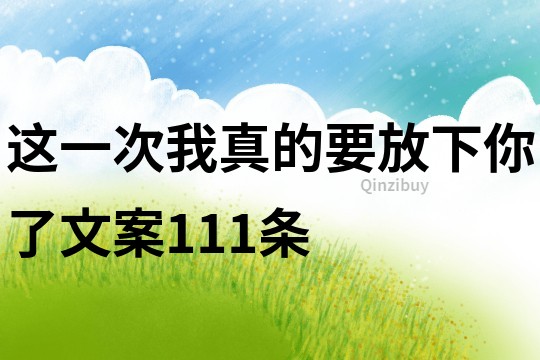 這一次我真的要放下你了文案111條