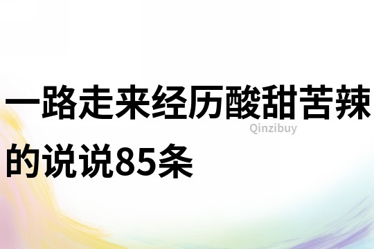 一路走來經歷酸甜苦辣的說說85條