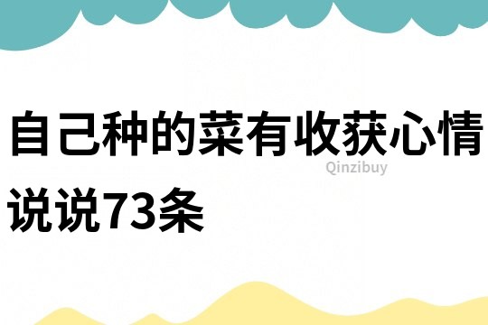 自己種的菜有收獲心情說說73條