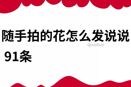 隨手拍的花怎么發說說	91條