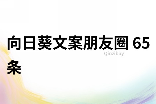 向日葵文案朋友圈	65條