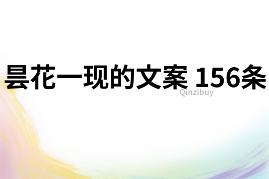 曇花一現的文案	156條