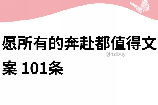 愿所有的奔赴都值得文案	101條