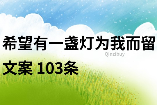 希望有一盞燈為我而留文案	103條