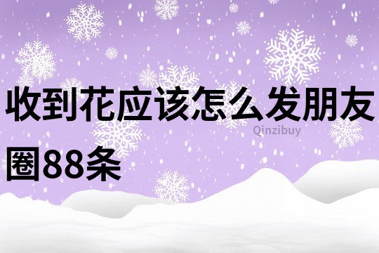 收到花應該怎么發朋友圈88條