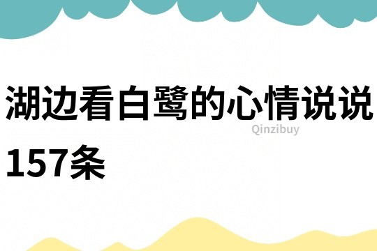湖邊看白鷺的心情說說157條