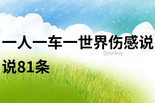 一人一車(chē)一世界傷感說(shuō)說(shuō)81條