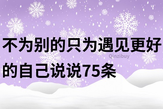 不為別的只為遇見更好的自己說說75條