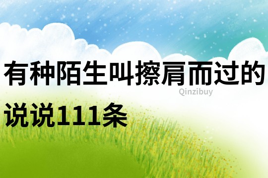 有種陌生叫擦肩而過的說說111條
