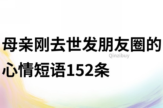 母親剛?cè)ナ腊l(fā)朋友圈的心情短語152條