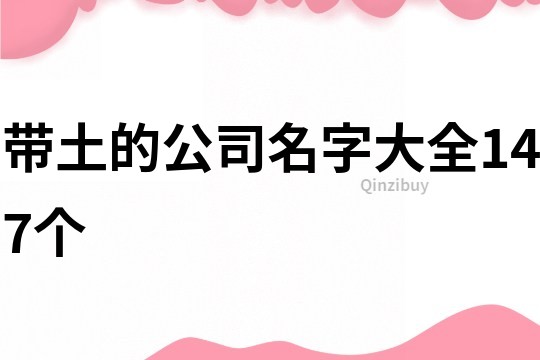 帶土的公司名字大全147個