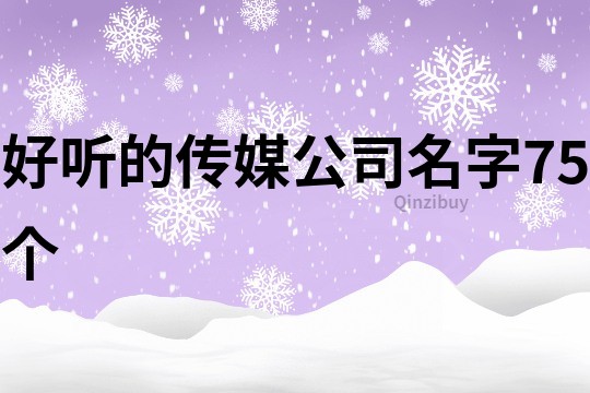 好聽的傳媒公司名字75個