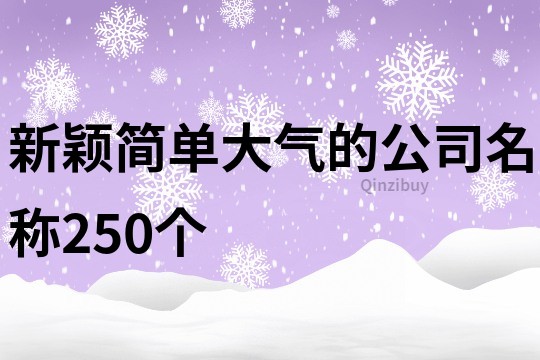新穎簡單大氣的公司名稱250個