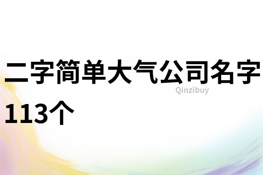 二字簡單大氣公司名字113個
