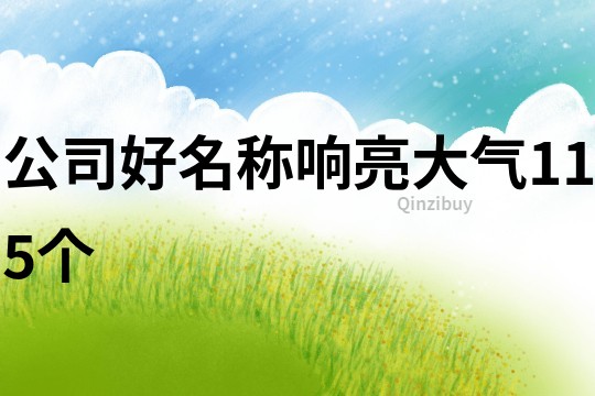公司好名稱響亮大氣115個