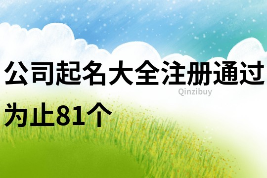 公司起名大全注冊通過為止81個