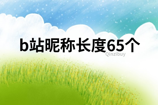b站昵稱長度65個