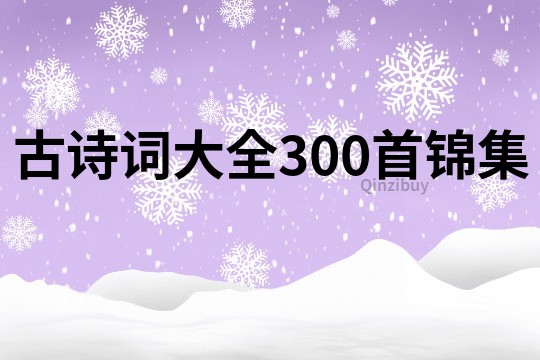 古詩詞大全300首錦集