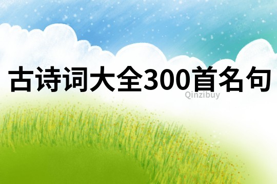 古詩(shī)詞大全300首名句
