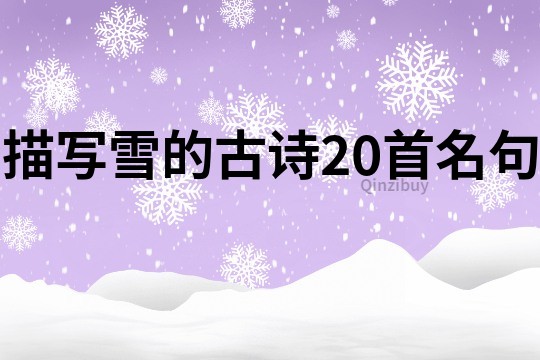 描寫雪的古詩20首名句