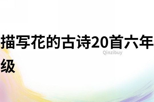 描寫花的古詩20首六年級